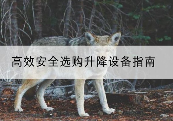 安塞升降货梯厂家推荐-*安全选购升降设备指南