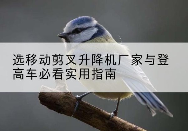 安塞电动升降机厂家-选移动剪叉升降机厂家与登高车必看实用指南