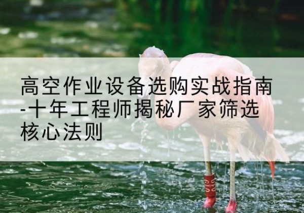 安塞剪叉式升降机厂家-高空作业设备选购实战指南-十年工程师揭秘厂家筛选核心法则